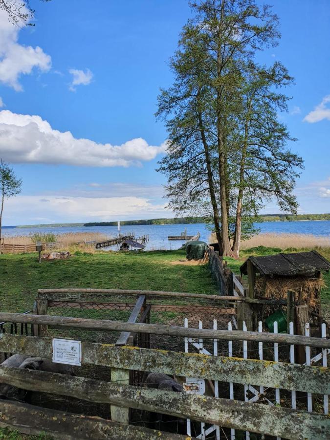 Apartment Altes Pfarrhaus In Plau Am See Kültér fotó